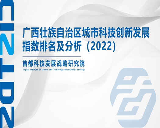 操逼夜晚【成果发布】广西壮族自治区城市科技创新发展指数排名及分析（2022）